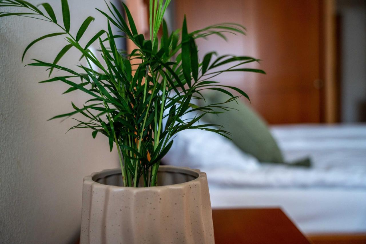 Trzin Lagoja B&B מראה חיצוני תמונה